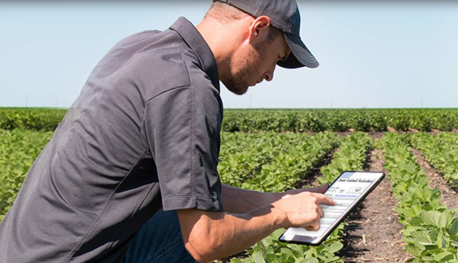 Top 7 Temperature Monitoring Solutions That Improve Food Safety and Reduce Labour Costs