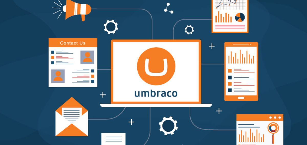 Umbraco training